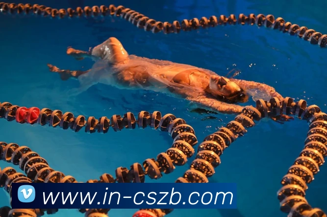 彩神争霸APP 体育赛事宣传图